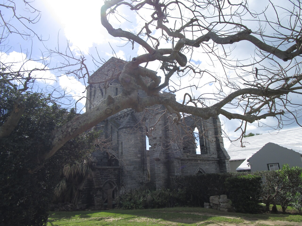 Bermuda---26-Tree-behind-Unfinished-Church.JPG