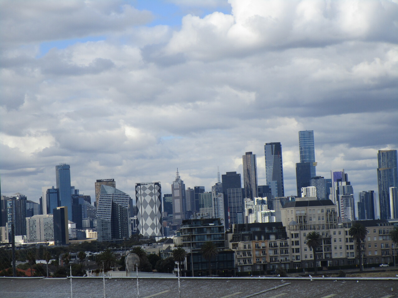 Ferry-to-Taronga-Zoo-9-Looking-at-Sydney-skyscrapers-1.JPG