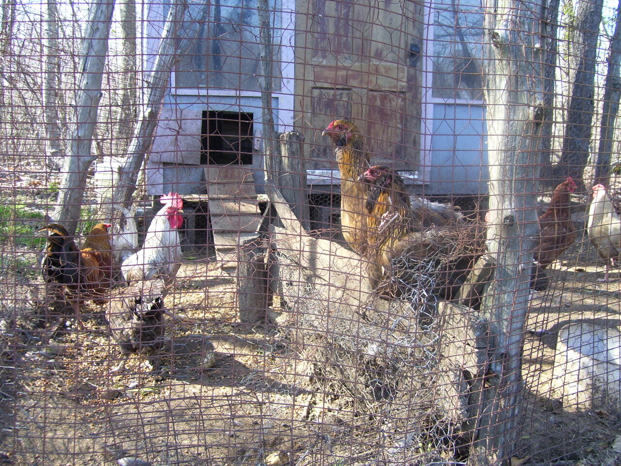 Hay-House---Stupa-April-2007-048.jpg