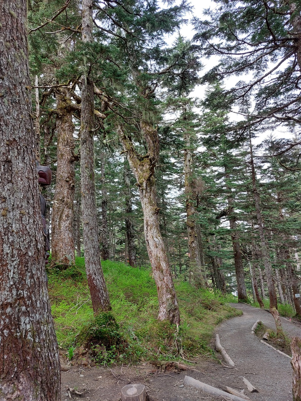 Juneau-16-Trail-at-mt-top.jpg