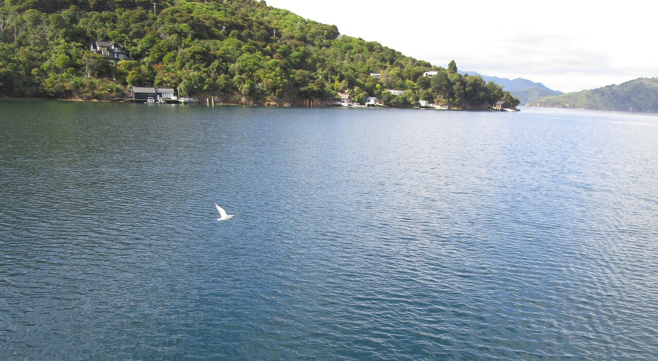 Picton-35-Boat-ride.JPG