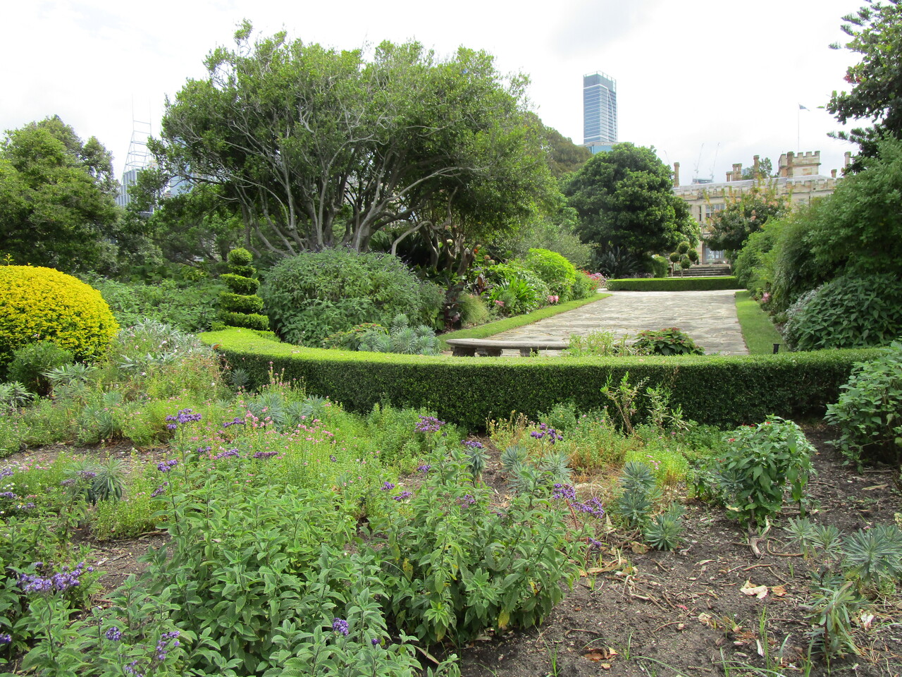 Royal-Botanic-Garden-16--Herb-garden.JPG