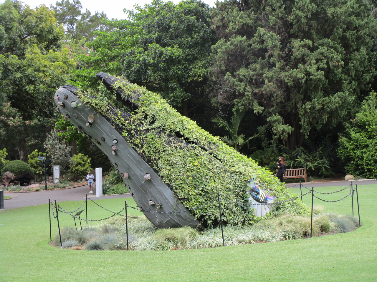 Royal-Botanic-Garden-19--Whale-head.JPG