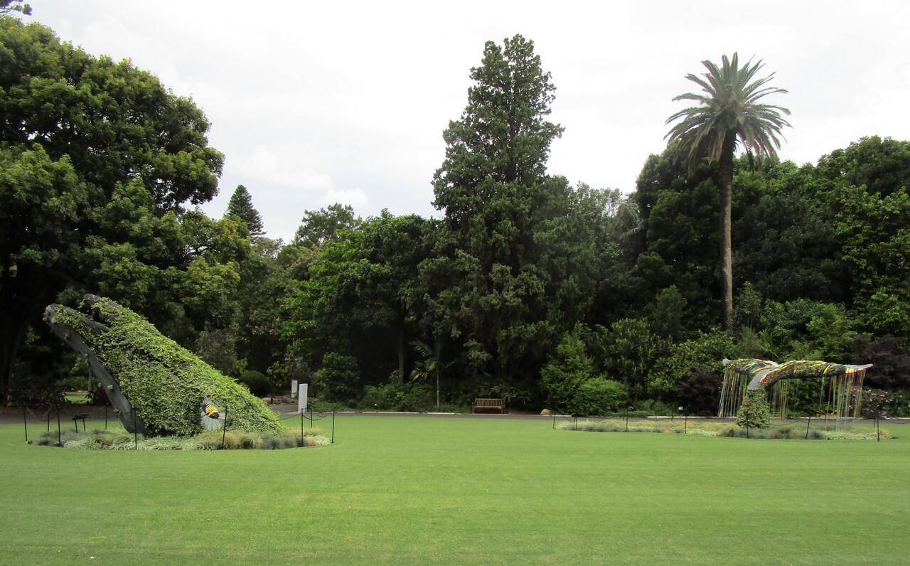 Royal-Botanic-Garden-21--Whale-head---tail.JPG