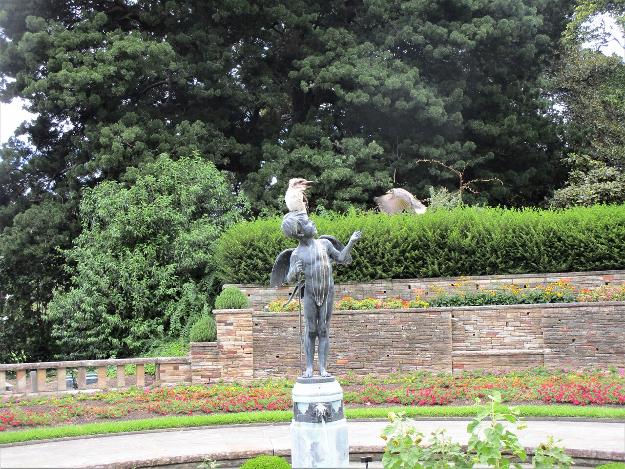 Royal-Botanic-Garden-26--Boy-fountain-with-bird-on-head.JPG