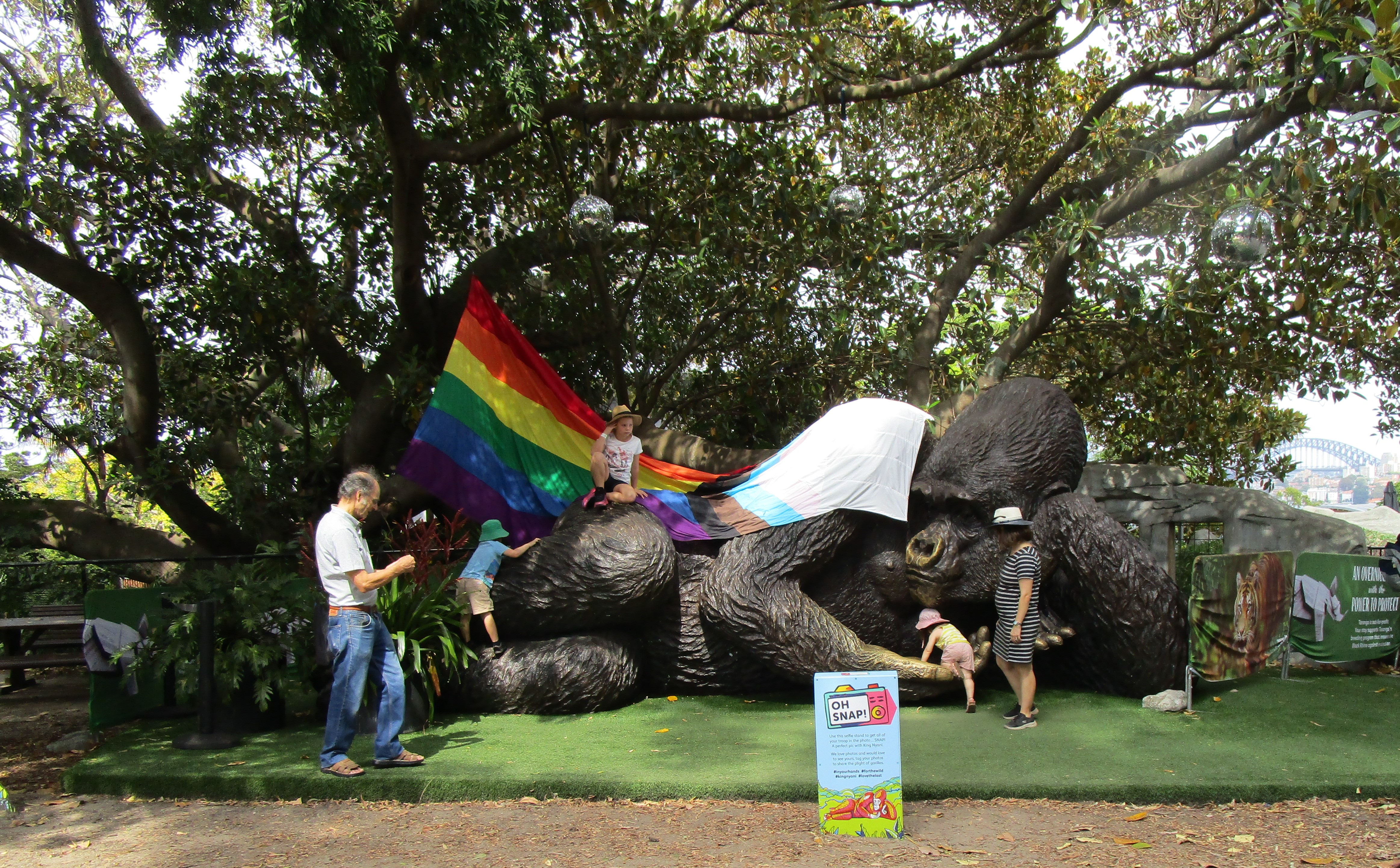 Taronga-Zoo-16---Gorilla-statue-for-kids-to-climb-on.JPG