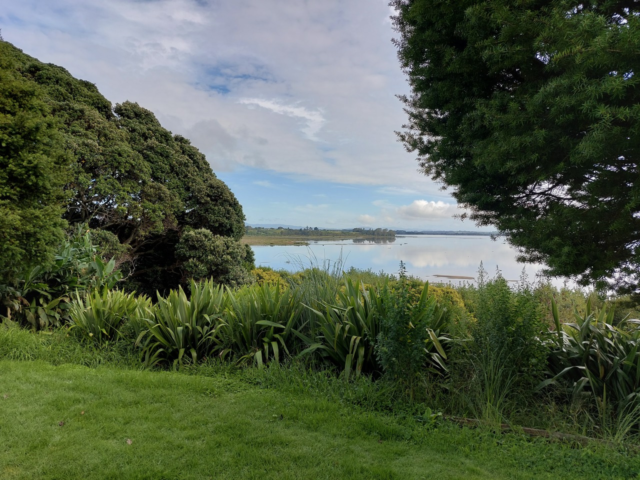 Tauranga-20-Scene-from-Maori-village.jpg