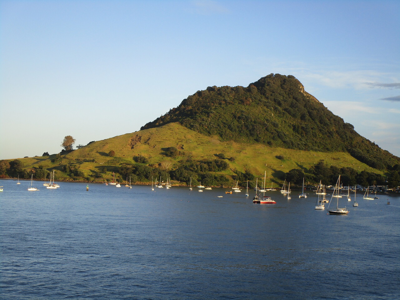 Tauranga-8---Mt-Maunganui.JPG