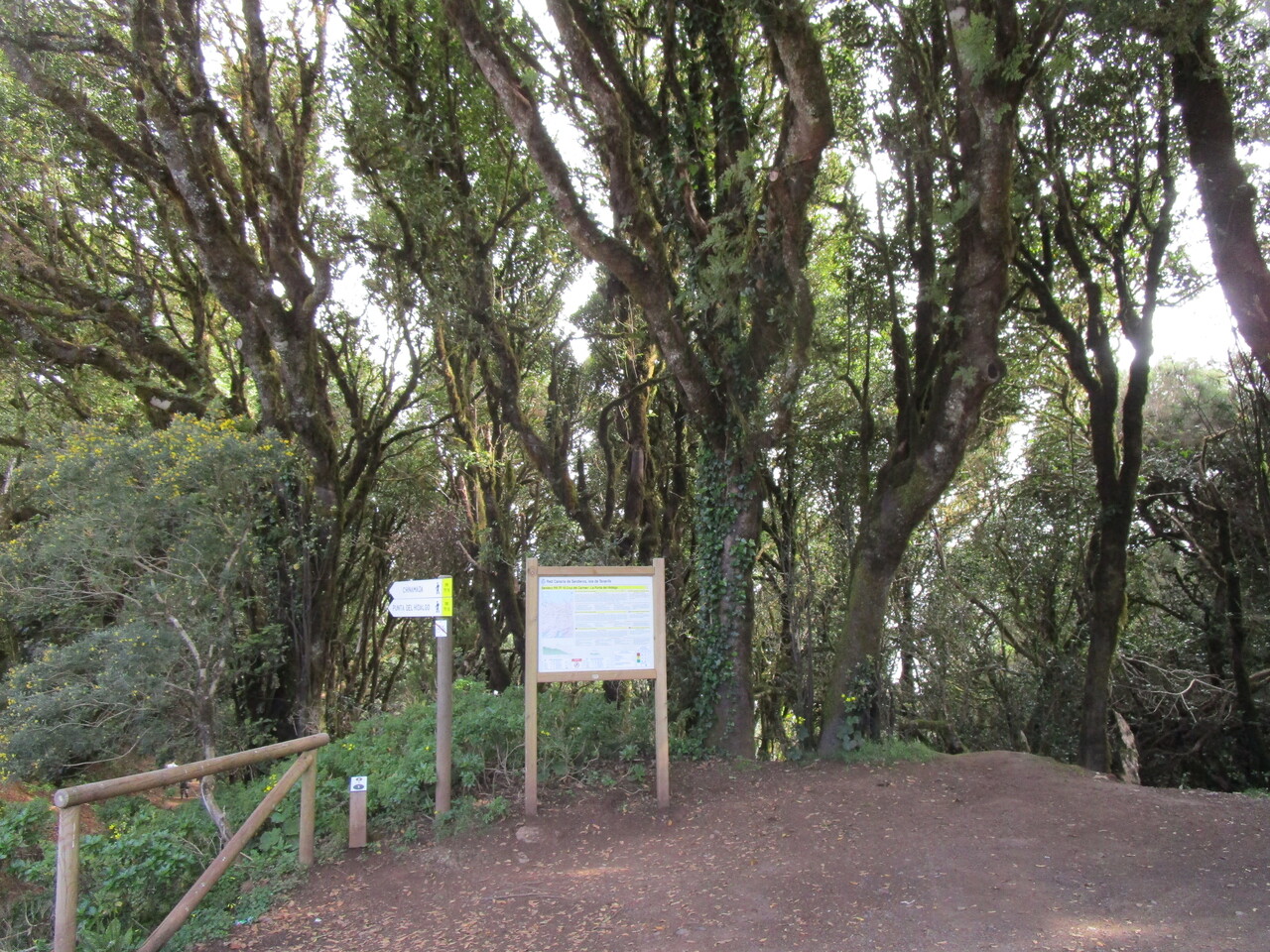 Tenerife-tour-21-----La-Jardina-Cruz-Del-Carmen-above-mt-cloud.JPG