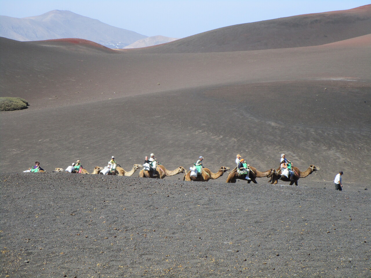 Timafaya-National-Park-40-Dromedary-ride.JPG